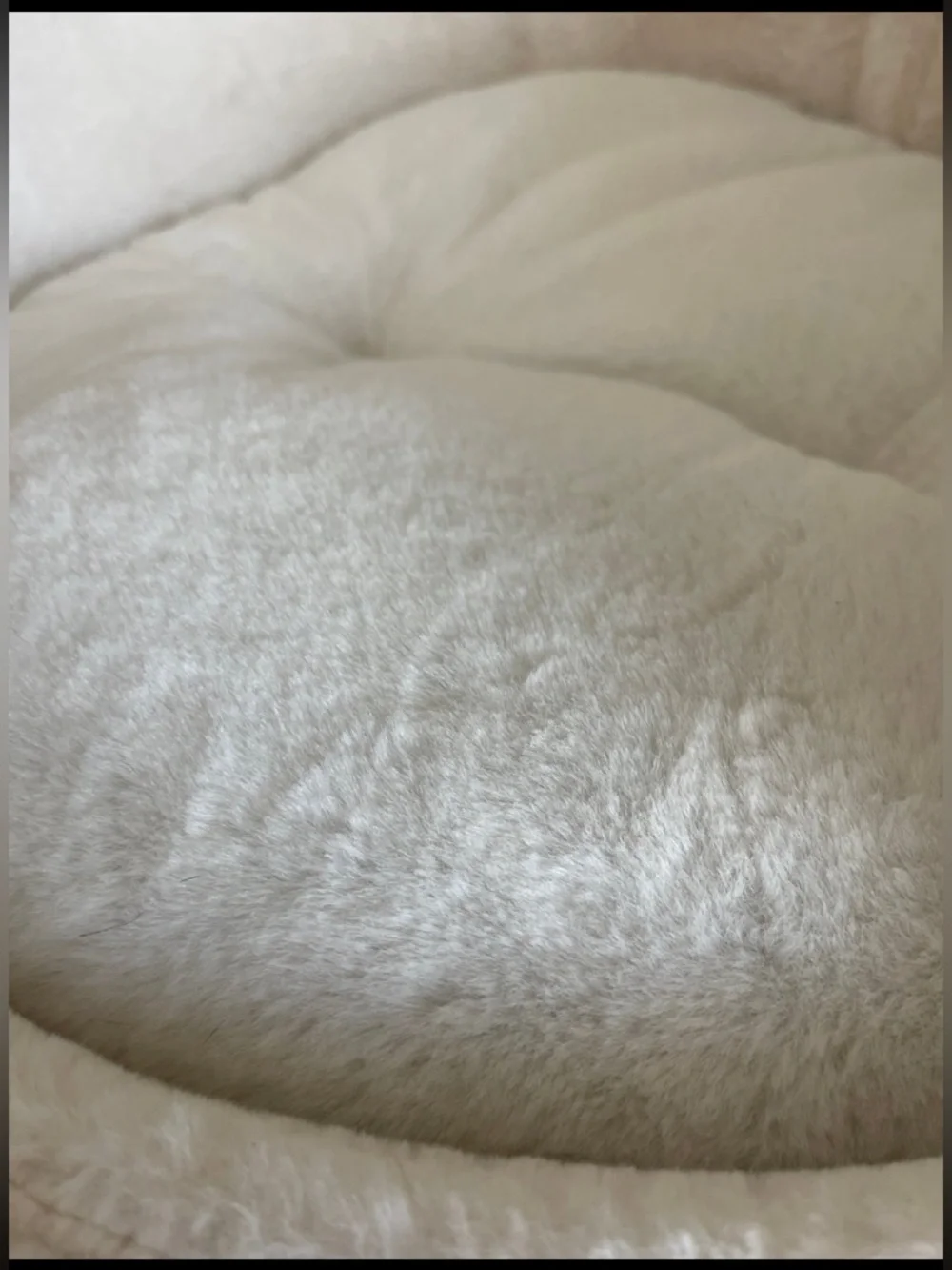 New Nandog Pet Gear Crown Dog Bed for Cats & Dogs Pearl White Ivory Cream, 16”